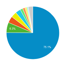 Google - autovaldkond - Google päringuid 75%